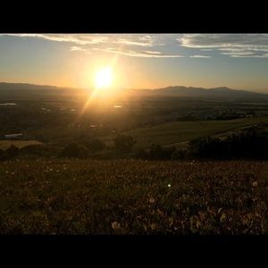 Meet your Posher, Cori